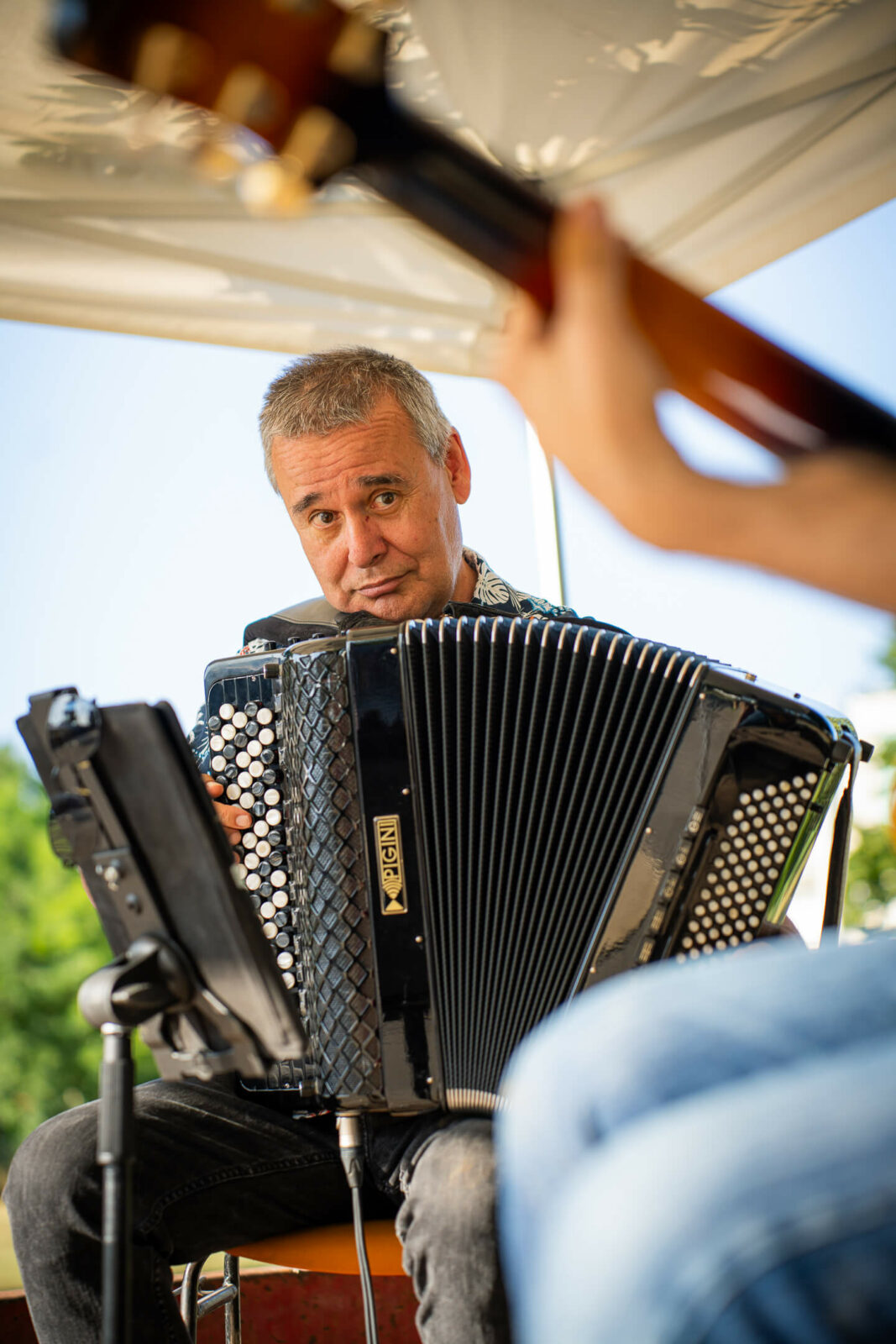 Accordéon animation municipale Beaurepaire en Guinguette